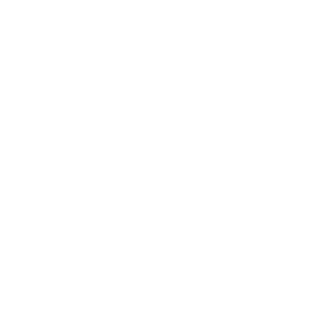 MapleBet 500x500_white